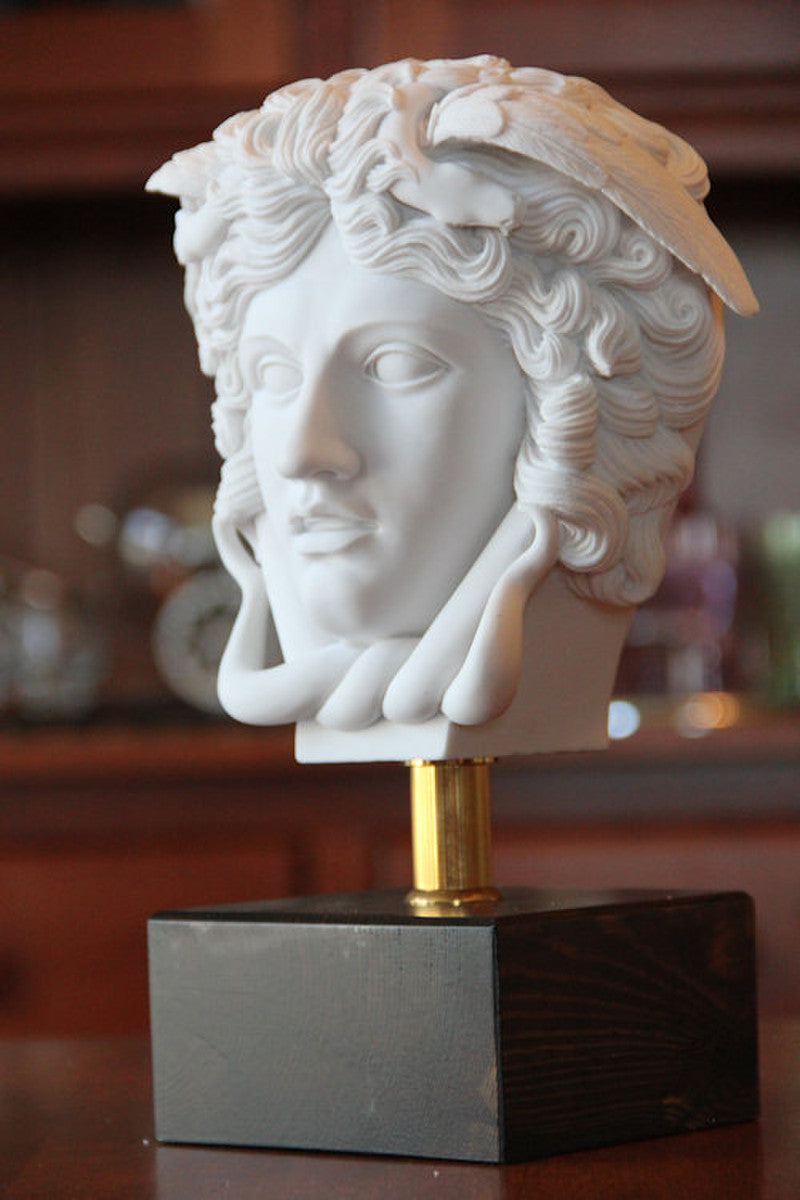 Head Of Medusa Bust 9" High | Eleganza