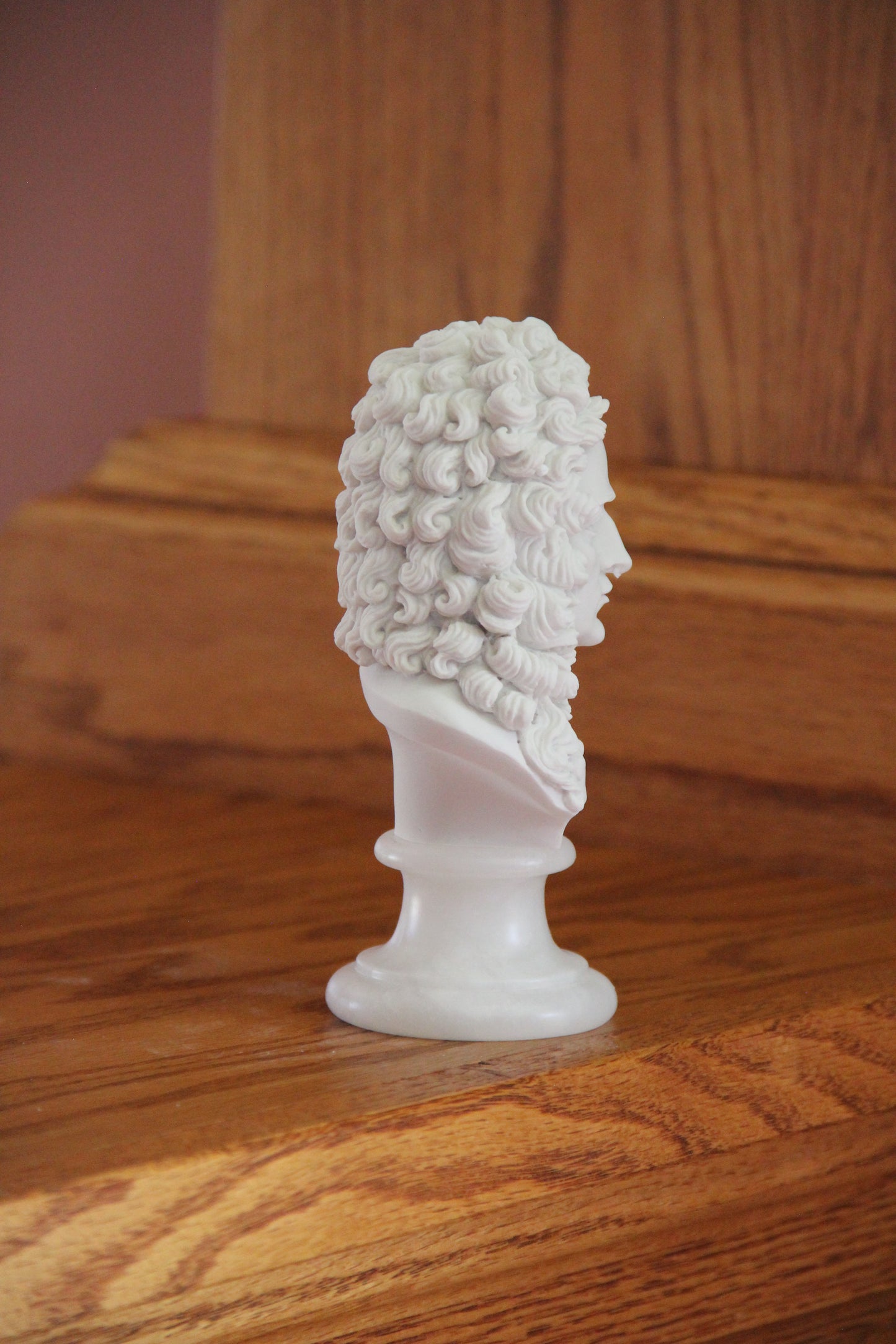 Bust Of Newton | Eleganza