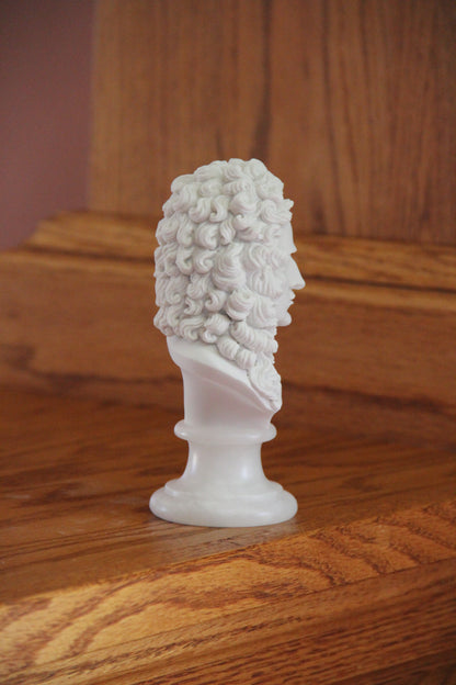 Bust Of Newton | Eleganza