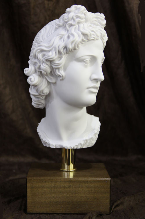 Head of Apollo Belvedere on Base Bust Statue | Eleganza