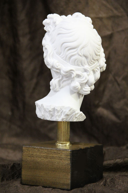 Head of Apollo Belvedere on Base Bust Statue 10" H | Eleganza