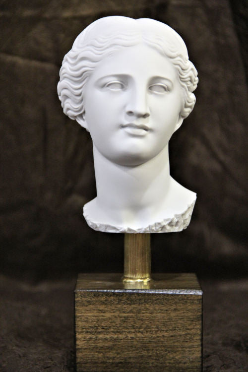 Head of Aphrodite Venus Bust 10" on Base Statue | Eleganza