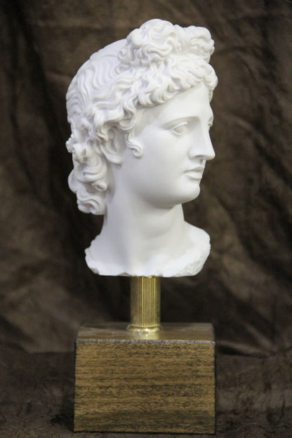 Head of Apollo Belvedere on Base Bust Statue 10" H | Eleganza