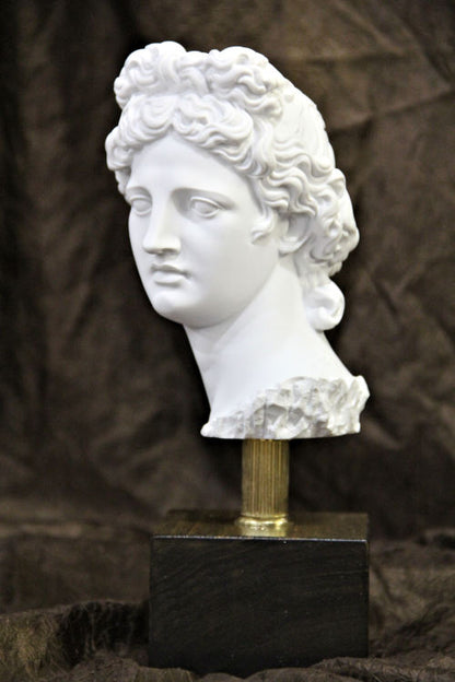 Head of Apollo Belvedere on Base Bust Statue 10" H | Eleganza