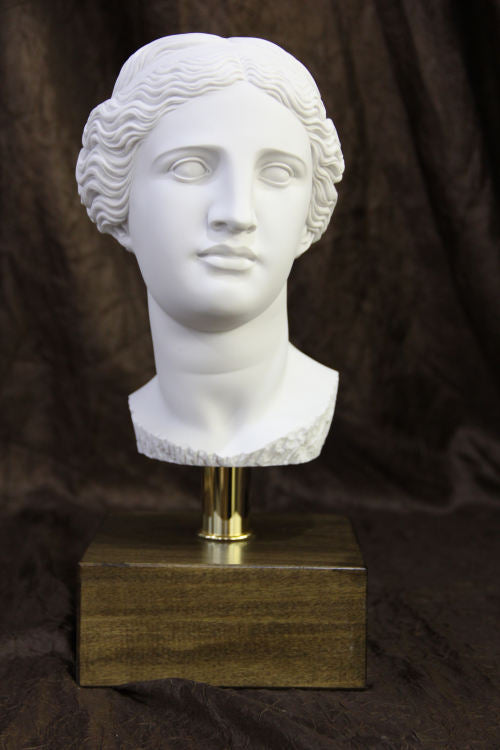 Head of Aphrodite Venus Bust on Base Statue | Eleganza