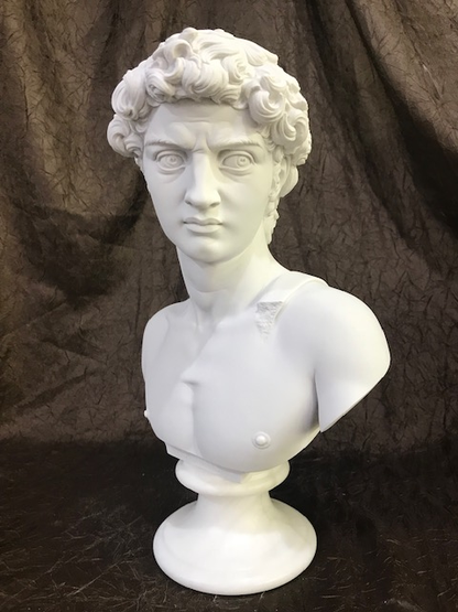 David Bust By Michelangelo 14" High | Eleganza